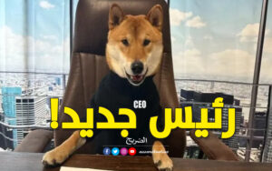 إيلون ماسك يعيّن كلبا كرئيس جديد لتويتر