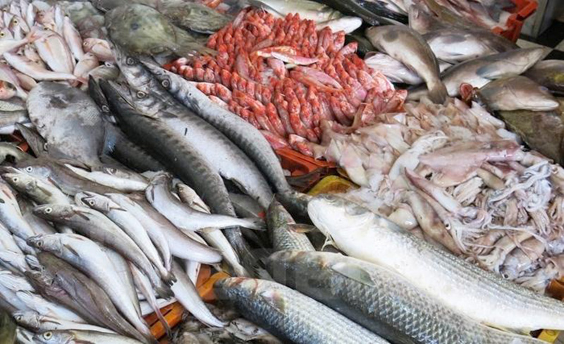 الميزان التجاري لمنتوجات الصيد البحري يحقق فائضا