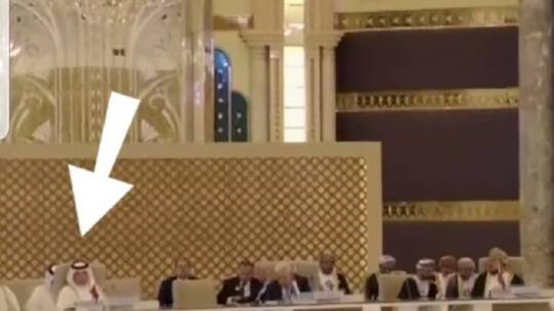 بعد أخذ ورد….أميرة قطرية تحدد الشخص الجالس على مقعد بلادها أثناء كلمة الأسد