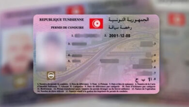 رخصة سياقة تونسية دولية