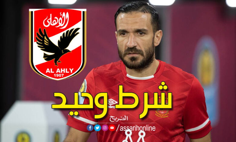 علي معلول