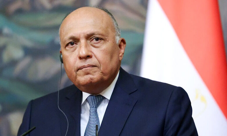 وزير الخارجيّة بجمهورية مصر العربية سامح شكري