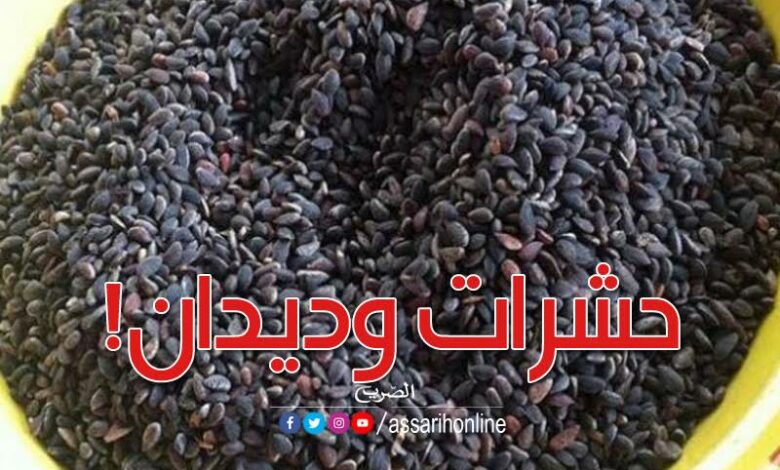 الزڤوڤو