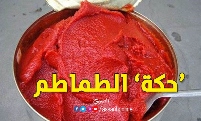 الطماطم
