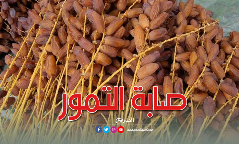 صابة-التمور