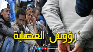 تفكيك شبكة لتهريب المهاجرين من الجزائر نحو تونس