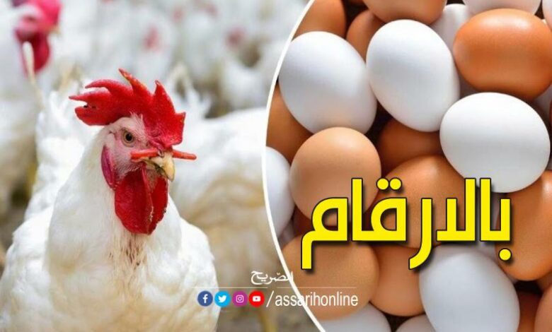 الدجاج والبيض