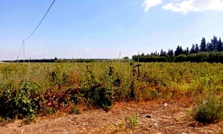 نابل... الدولة تسترجع عقارا دوليا فلاحيا بمساحة 10 هك