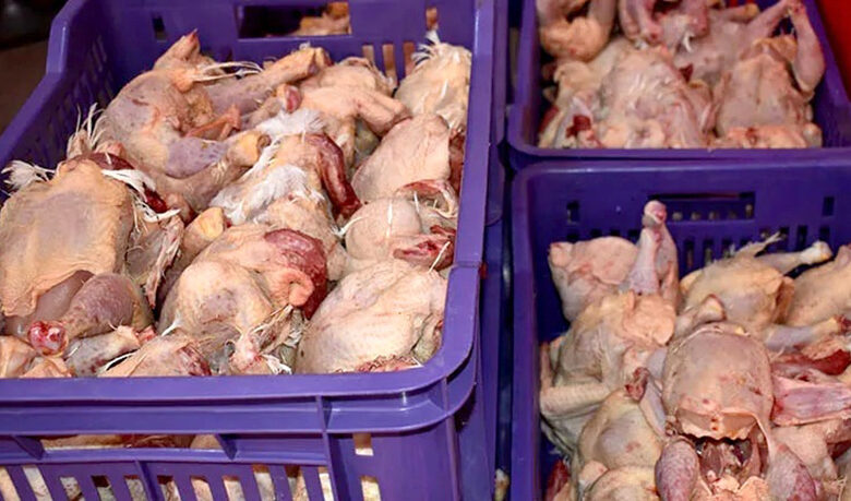 poulets