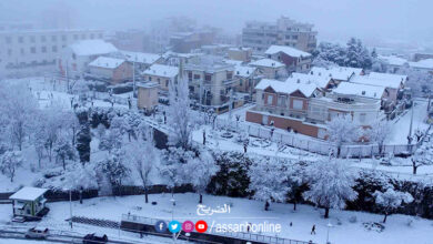 الثلوج في الجزائر