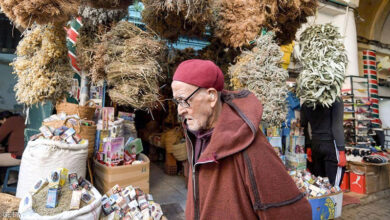 Tunis Medina