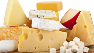 صناعة مادة الجبن