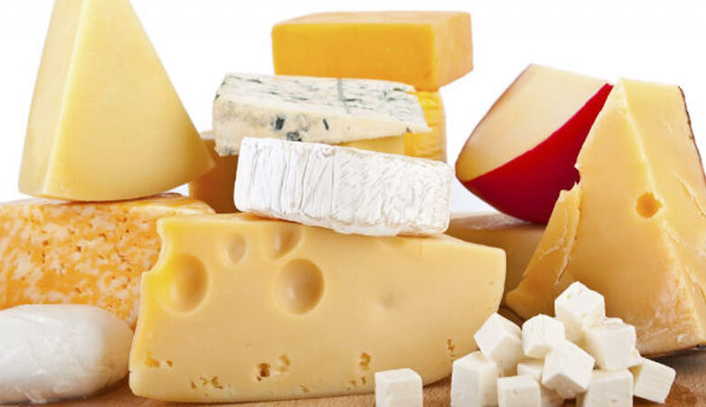 صناعة مادة الجبن
