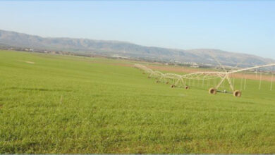 Récupérer une propriété agricole internationale