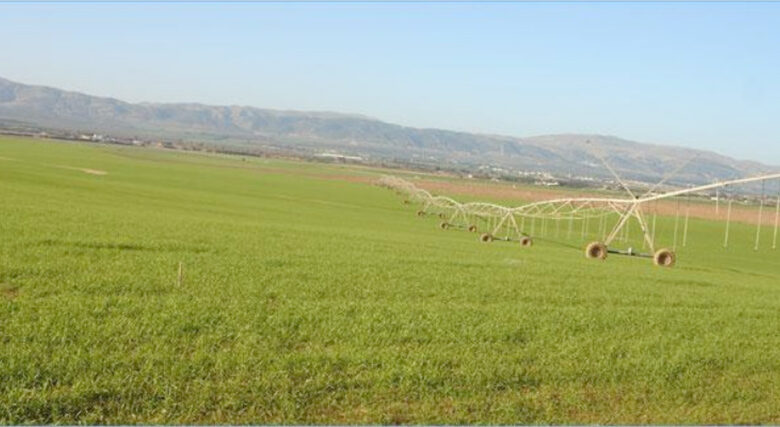 Récupérer une propriété agricole internationale