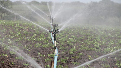 Réseau d'eau d'irrigation