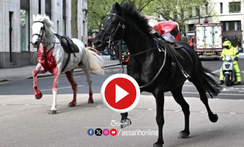 london horses