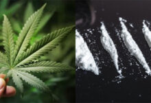 Marijuana et cocaïne