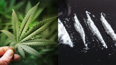 Marijuana et cocaïne