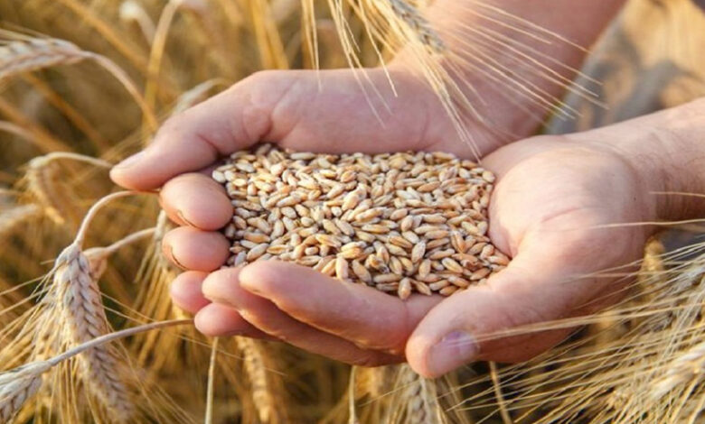 Production mondiale de céréales