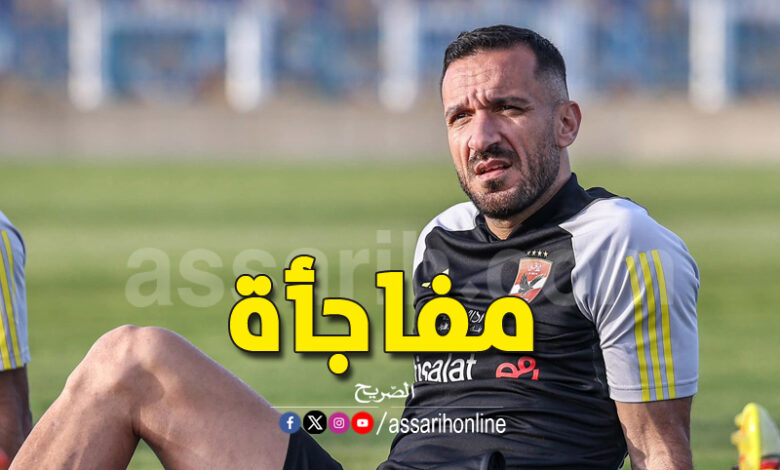 ali maaloul