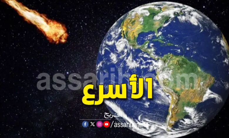 MK 2024 TERRE
