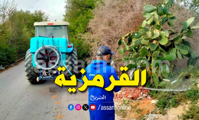monastir