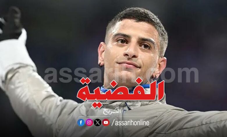 fares ferjani