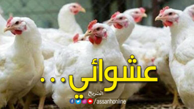 Poulet