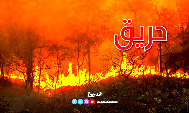 incendie foret
