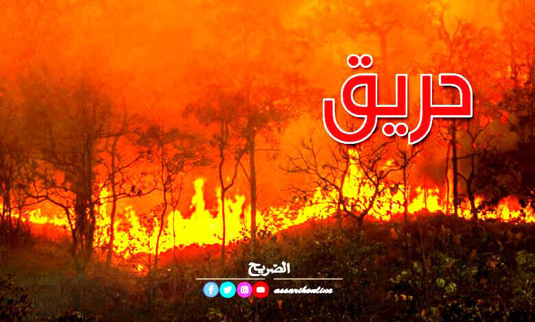 incendie-foret