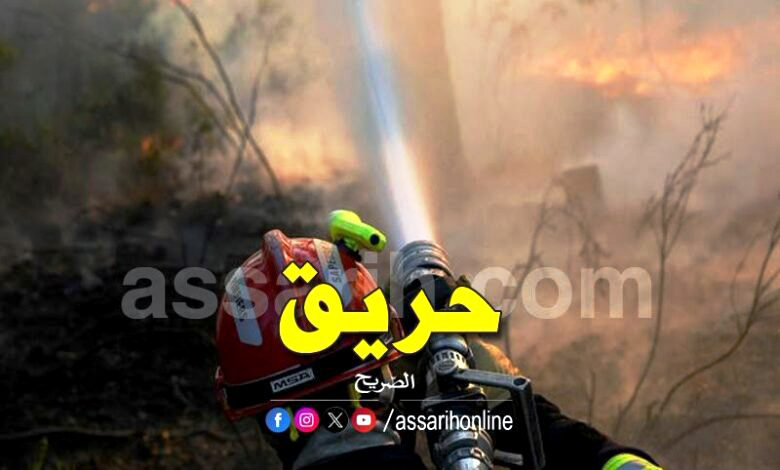 incendie-foret