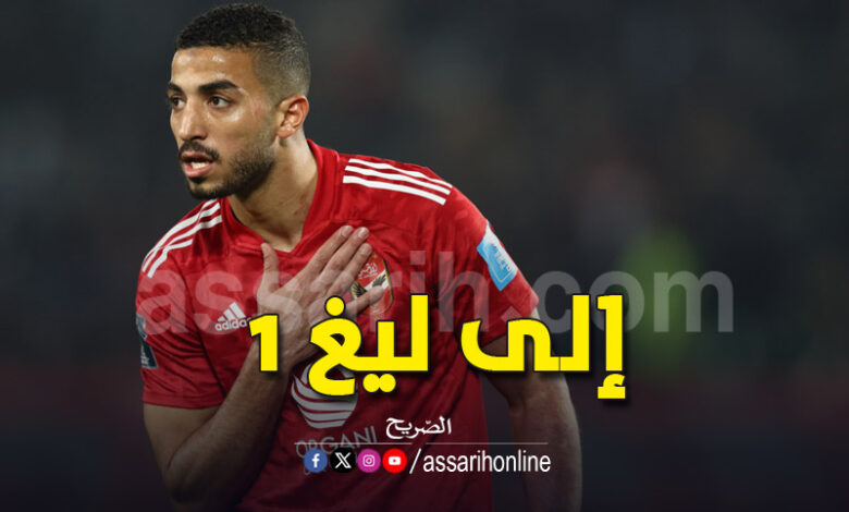 mohammed abdelmonem