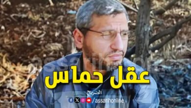 mohammed dhif