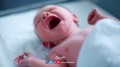 bébé