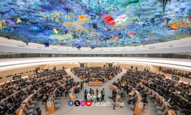conseil droits de l'homme onu