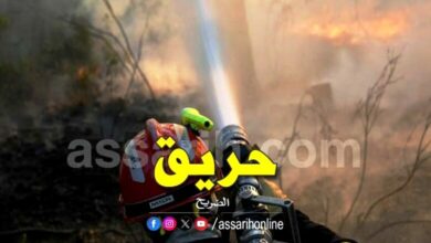 incendie foret