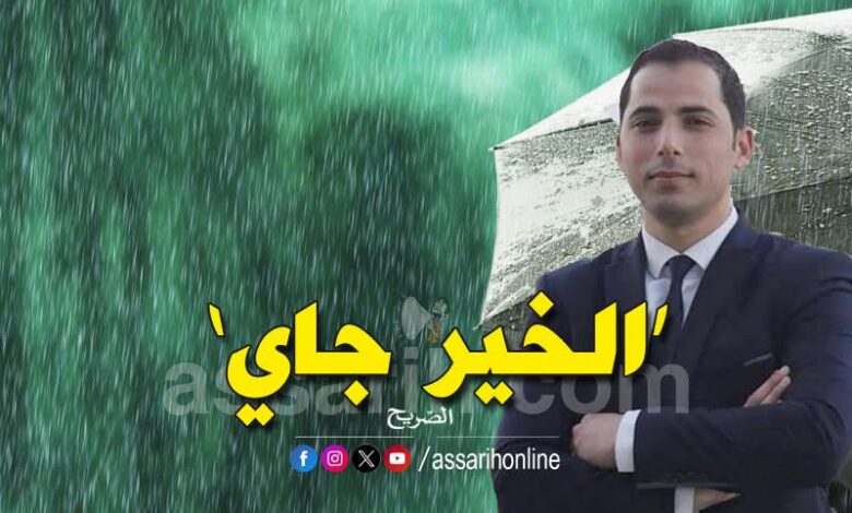 mehrez ghannouchi