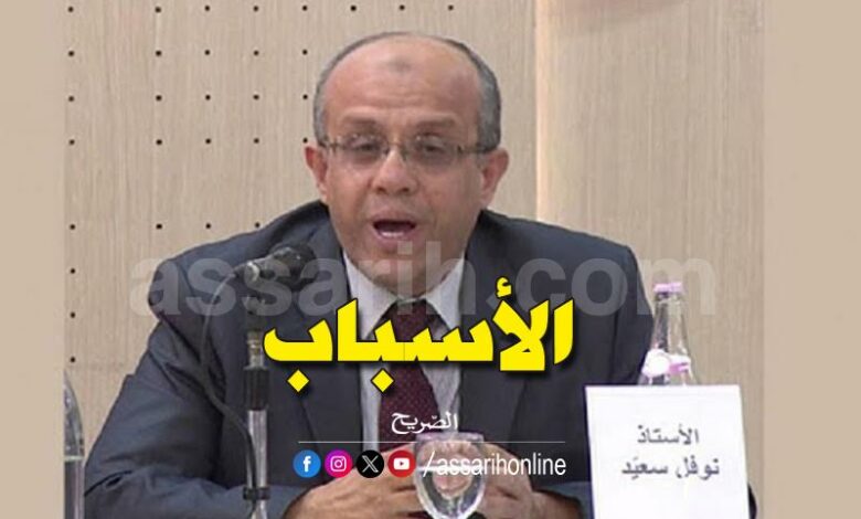naoufel saied