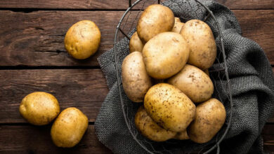 pomme-de-terre