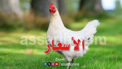 poulet