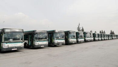 bus