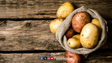 pomme-de-terre-780x470