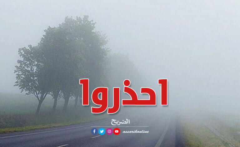brouillard