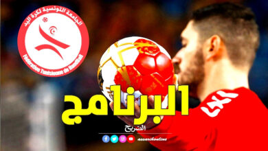 handball programme