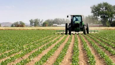 Investissements agricoles