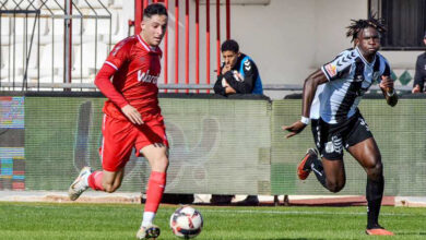 css . ess 0-1 le 26.01.2025