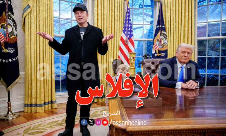 Elon Musk and Donald Trump