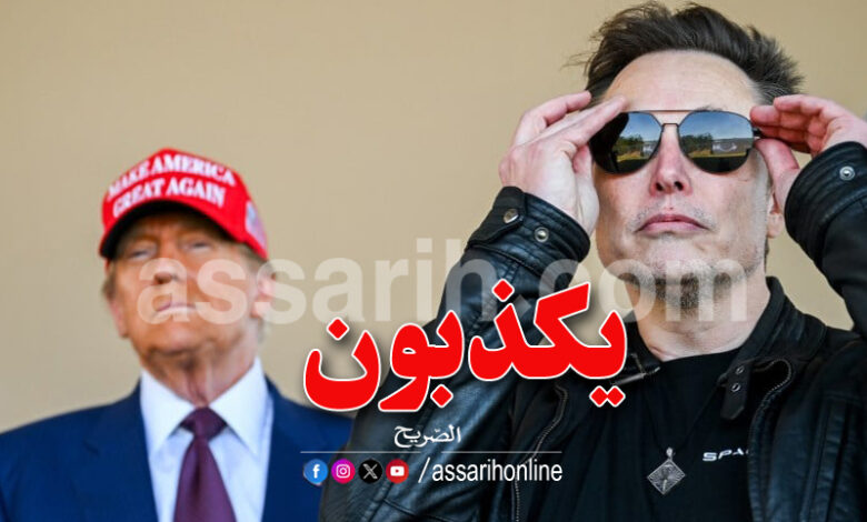 donald trump elon musk