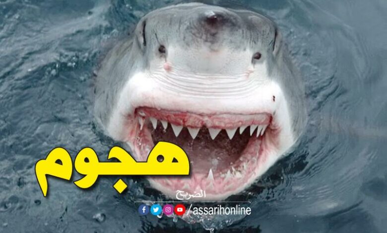poisson-requin